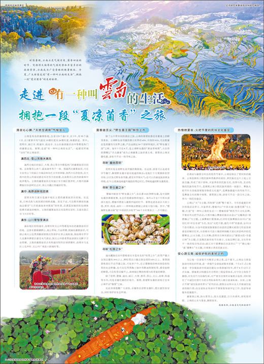 华融配资 走进“有一种叫云南的生活” 拥抱一段“夏凉菌香”之旅